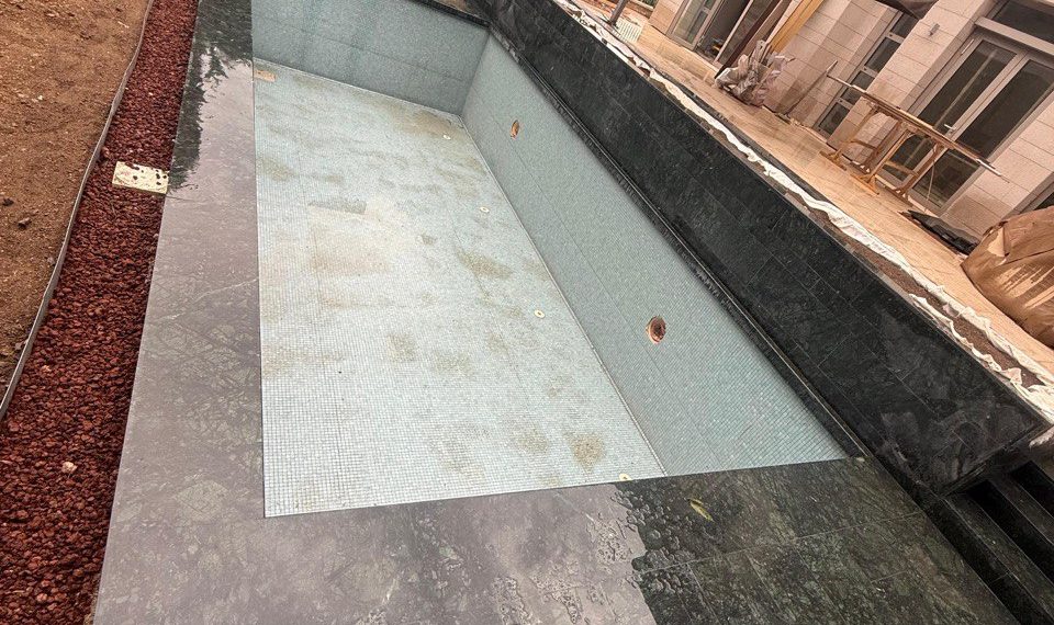 photo_1_2026-01-12_21-11-10